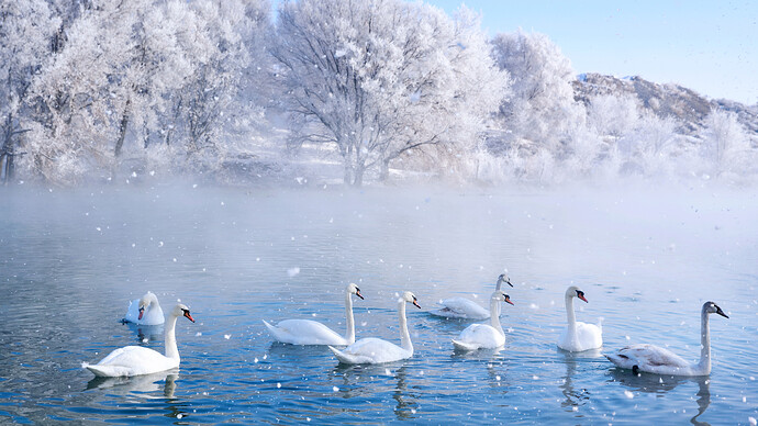 天鹅泉湿地公园-伊犁-新疆