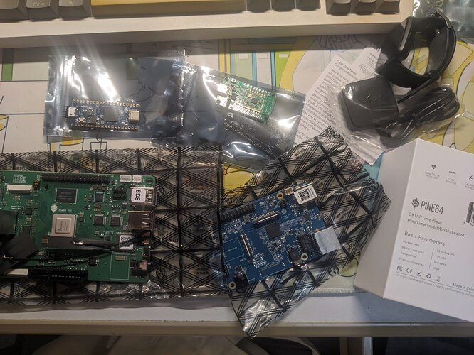 笔者之前购入的一些 Pine64 产品（需要注意的是 Pine64 虽然在深圳代工但只能发货到香港，不能寄到中国大陆）
