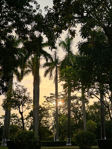 b7c293c65d107a41700219eaa3c7921