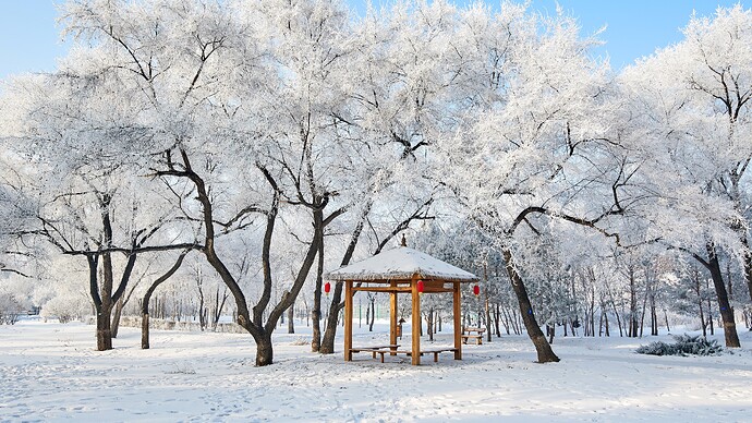 美丽的雾凇景色-大庆市