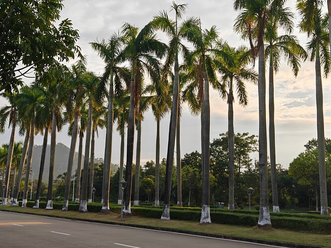 33a97d8ebbecbfde270db22fa5c3f58